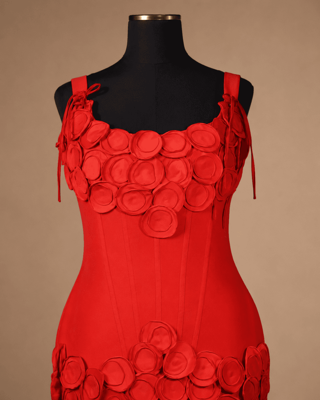 Red Rose Appliqué Mini Dress