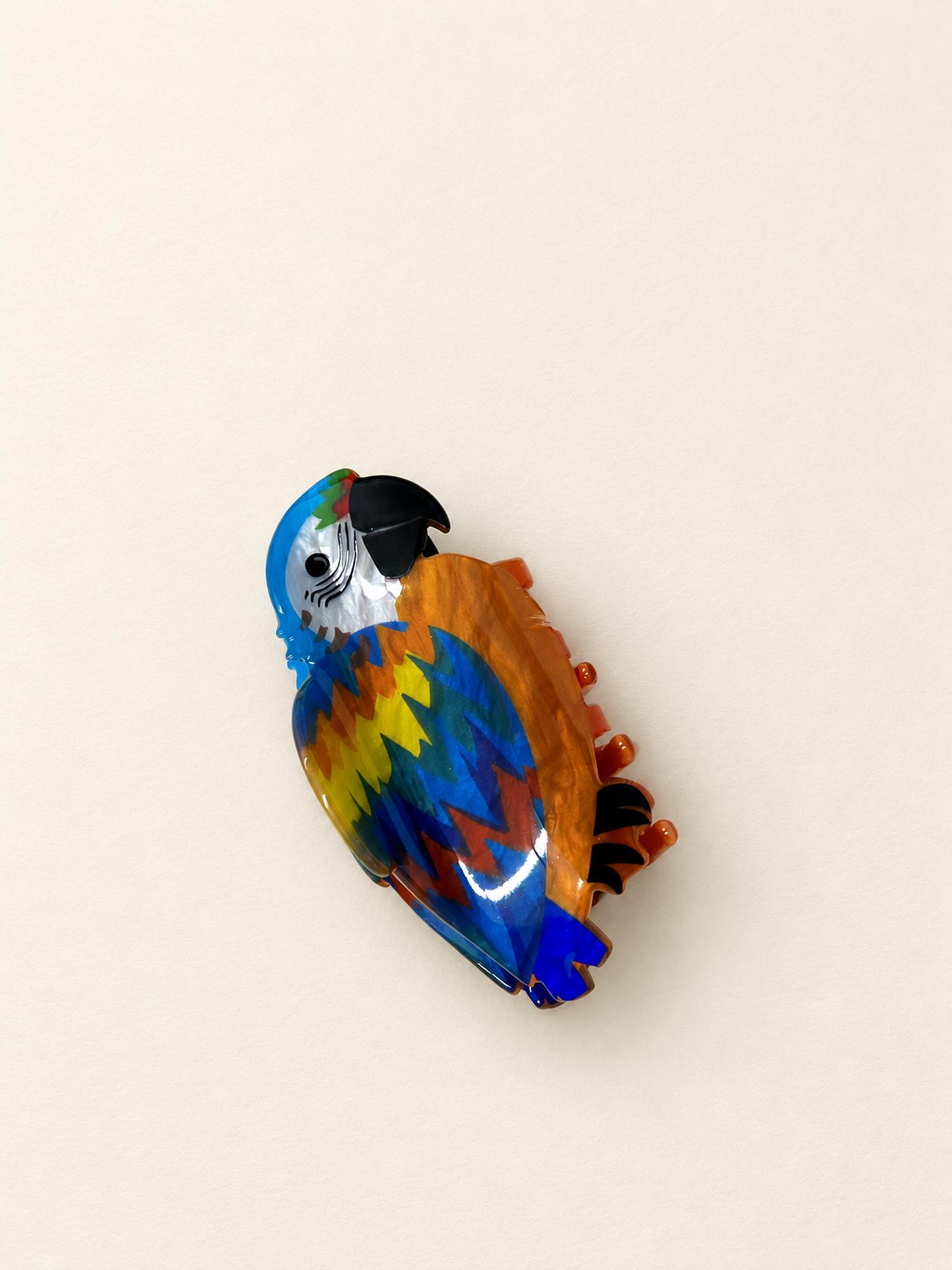 Multicolour Parrot Claw Clip for Women